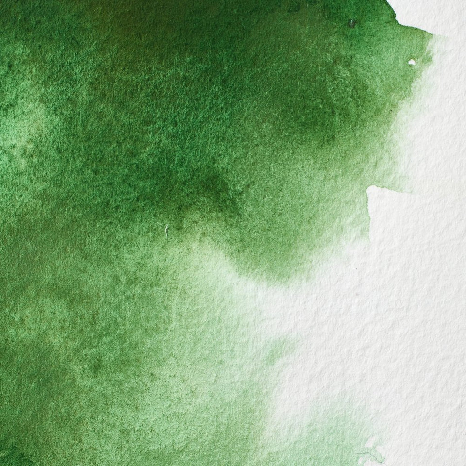 Winsor & Newton Professional Watercolour Hookers Green