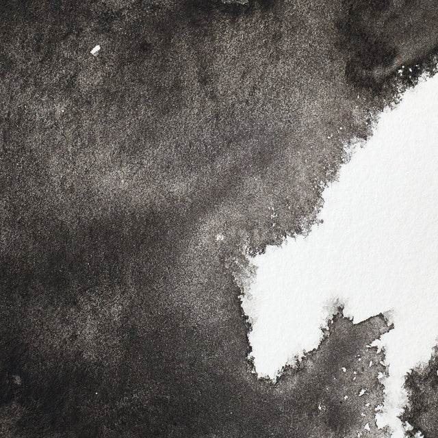 Winsor & Newton Professional Watercolour Ivory Black