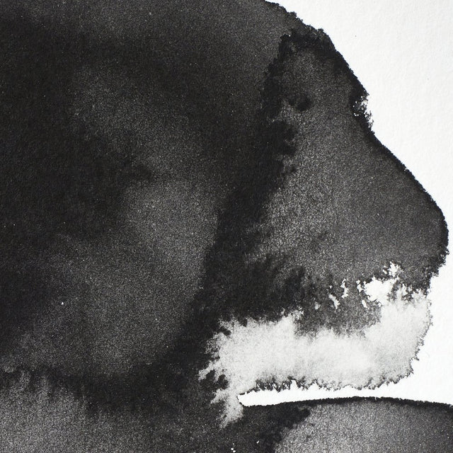 Winsor & Newton Professional Watercolour Lamp Black