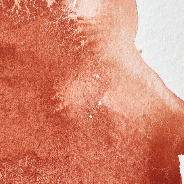 Winsor & Newton Professional Watercolour Light Red