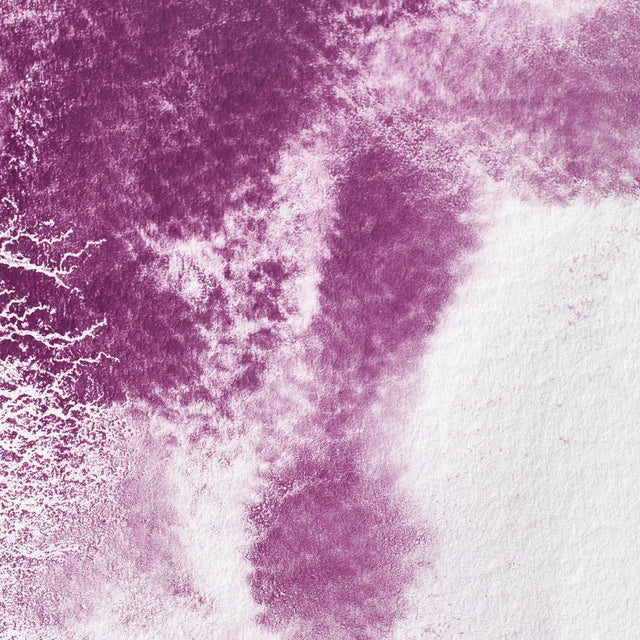 Winsor & Newton Professional Watercolour Permanent Mauve