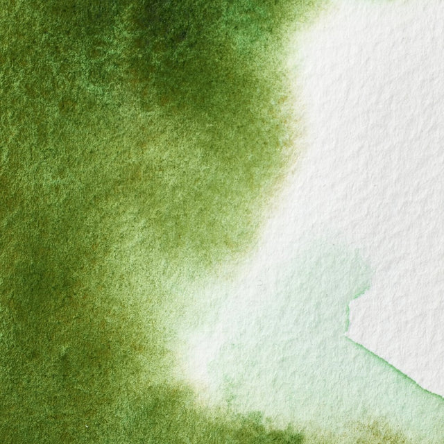 Winsor & Newton Professional Watercolour Permanent Sap Green