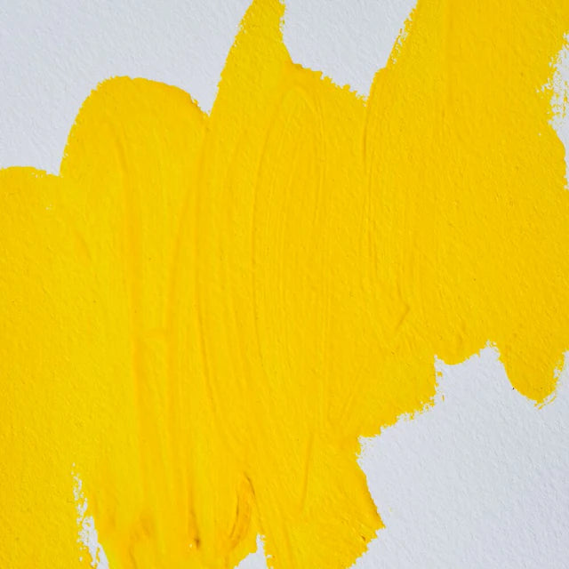 Yellow oil paint mixed with safflower oil on a white canvas