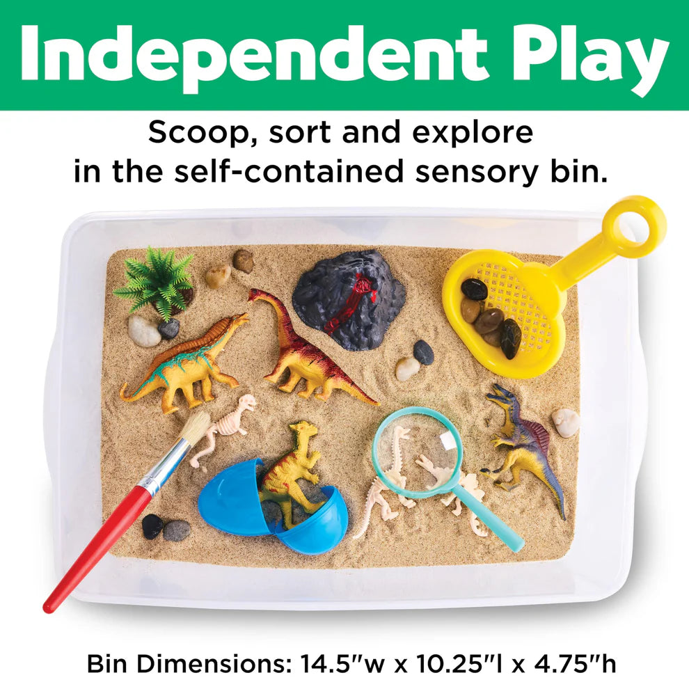 Sensory Bin - Dinosaur
