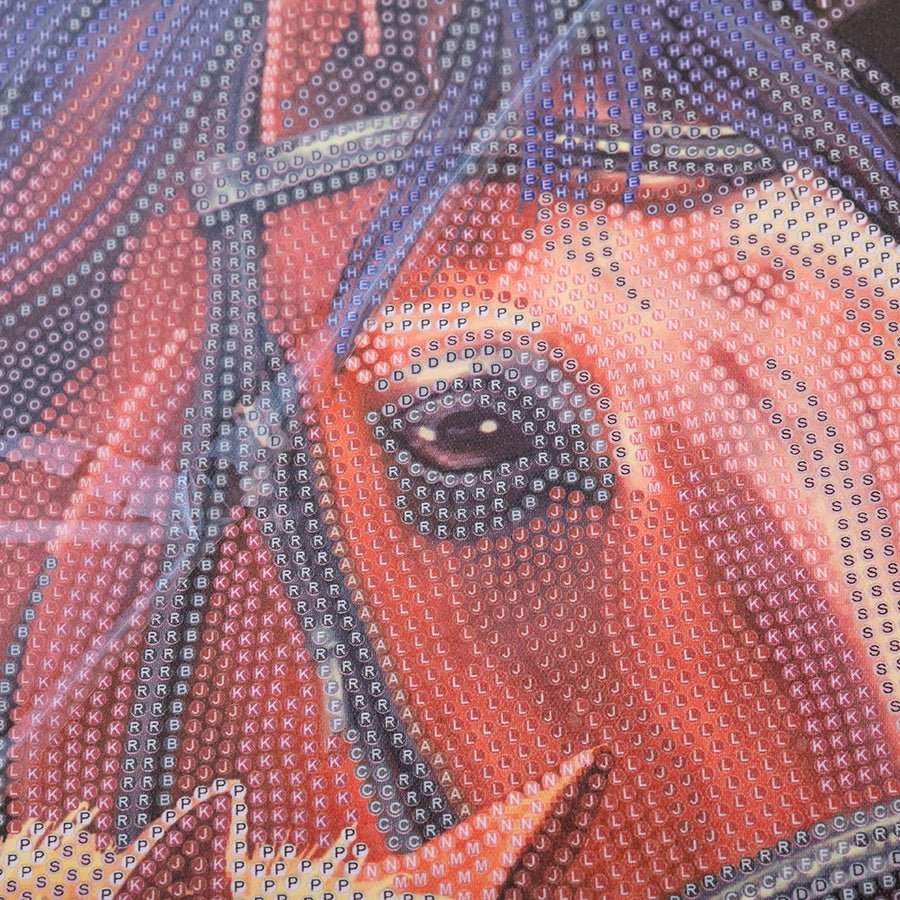 Crystal Art Scroll Kit 40x50cm - Chestnut Mares