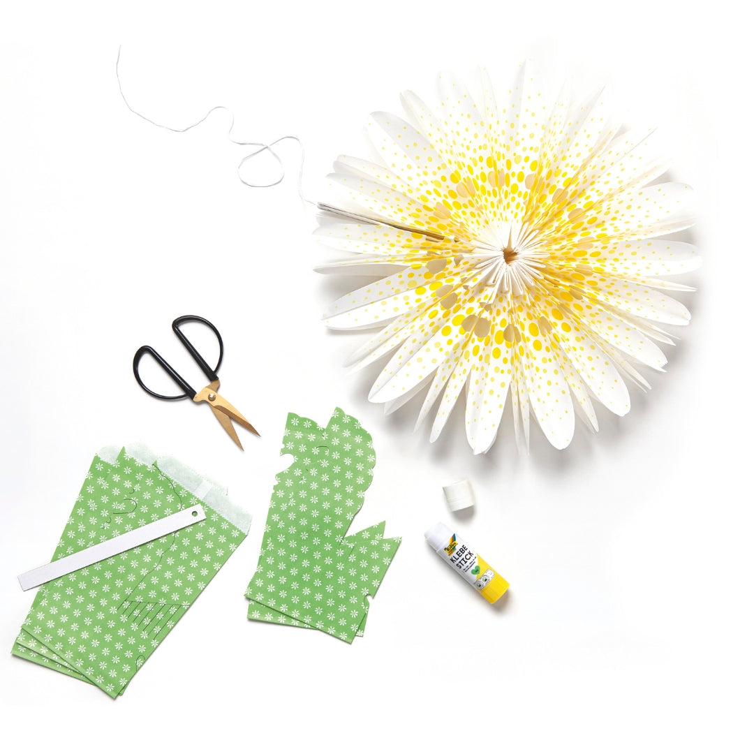 Paper Bag Set - Daisy Love