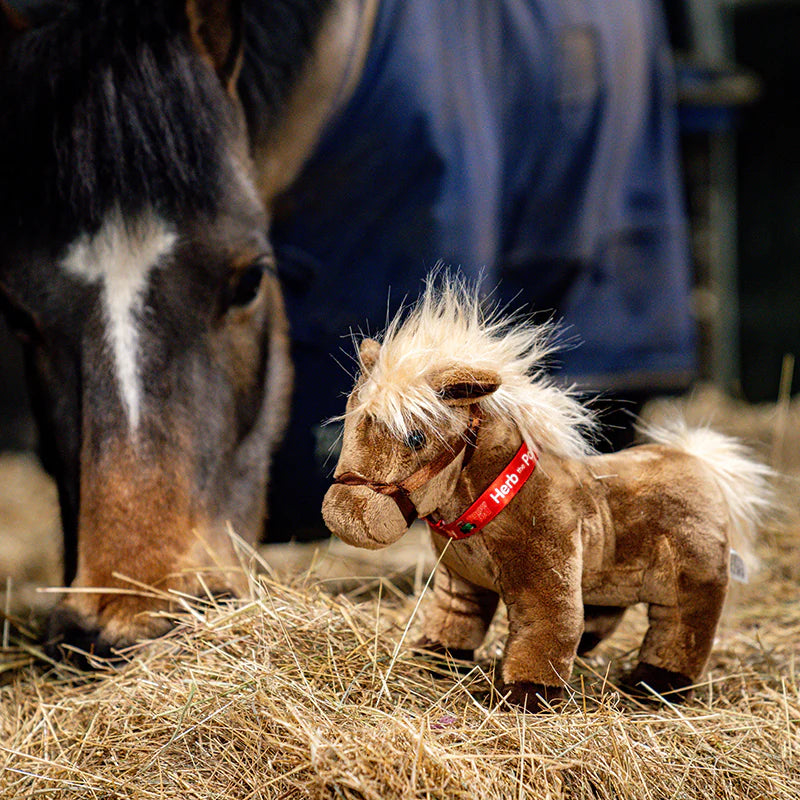 Tractor Ted - Herb the Pony Soft Toy