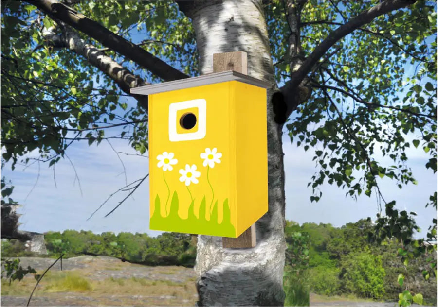 Playbox Craft Set - Bird House