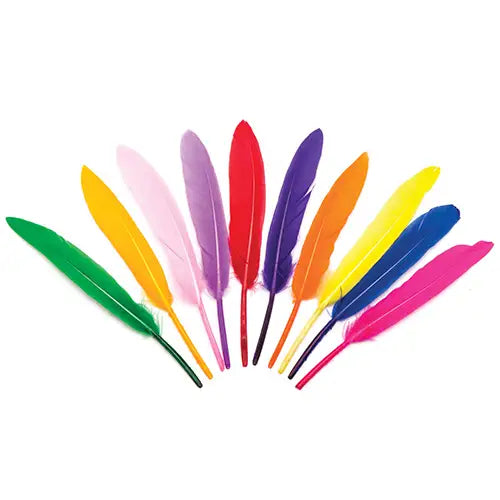 Mini Coloured Quill Feathers (Pack of 80)