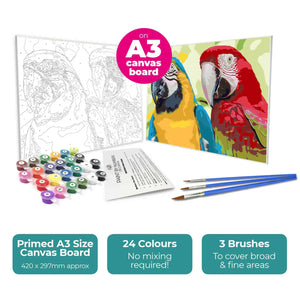 Paint By Numbers - Parrots