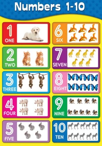 WALL CHART- NUMBERS 1-10 *clrnc*