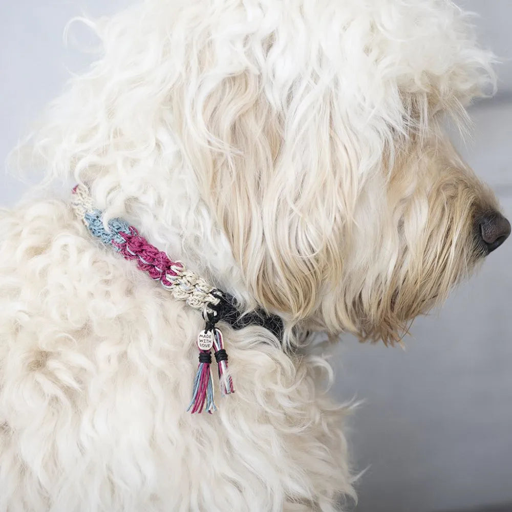 Mini Craft Kit Crochet Dog Collar