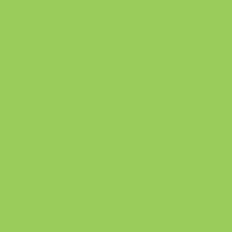 Winsor & Newton Promarker - Leaf Green- G258