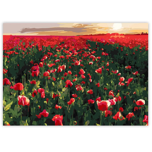 Paint By Numbers - Poppy Field