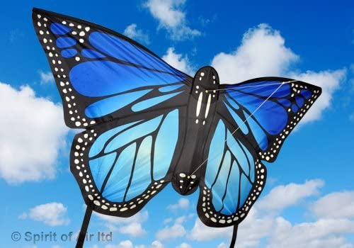 Monarch Butterfly Kite Lrg - Blue