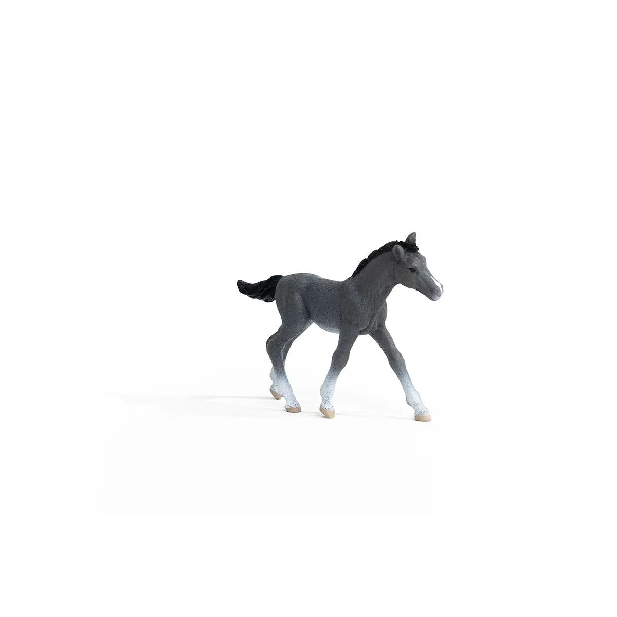 Schleich Trakehner Foal