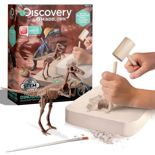 Dinosaur Excavation Kit Skeleton 3D Puzzle -Veloci