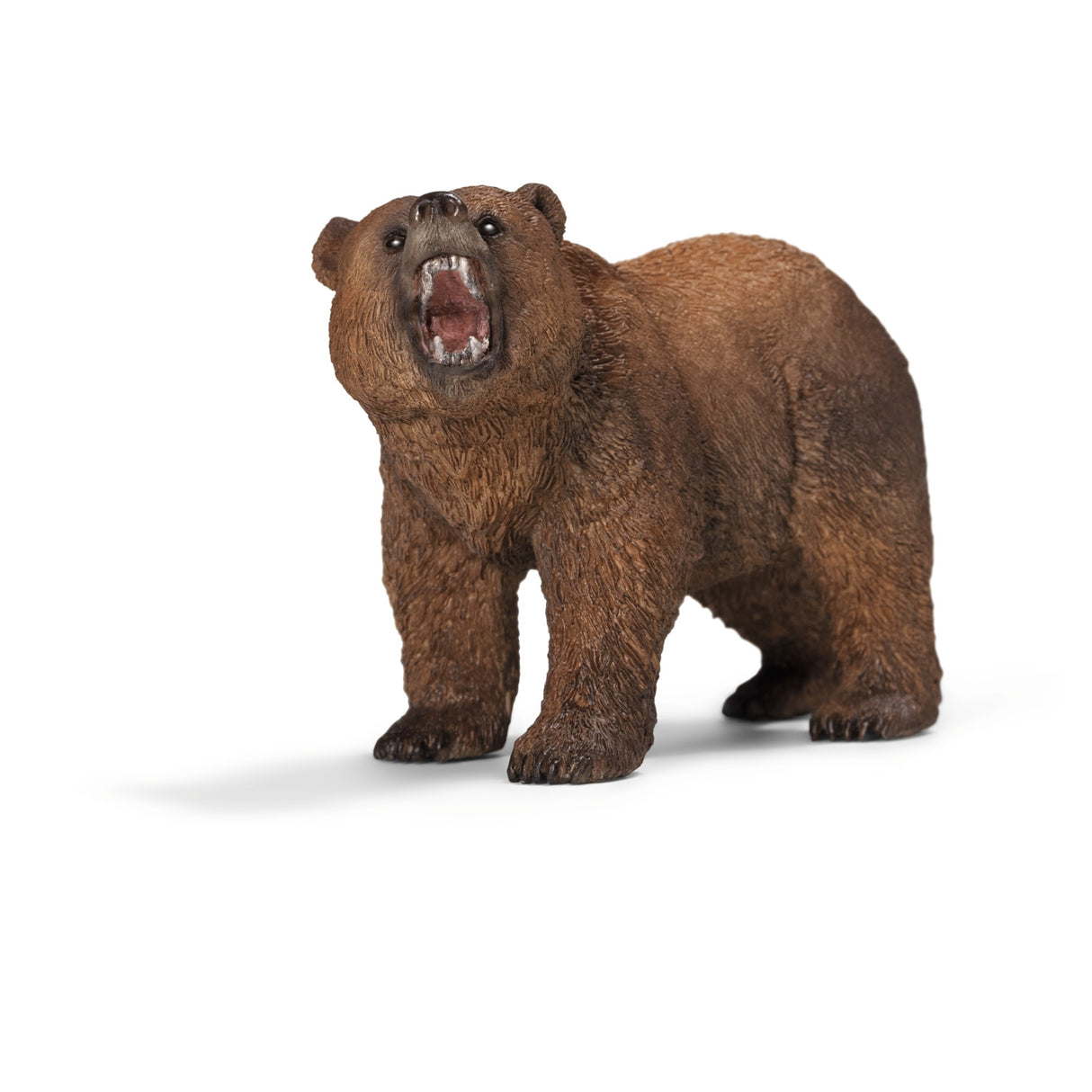 Schelich Grizzly Bear