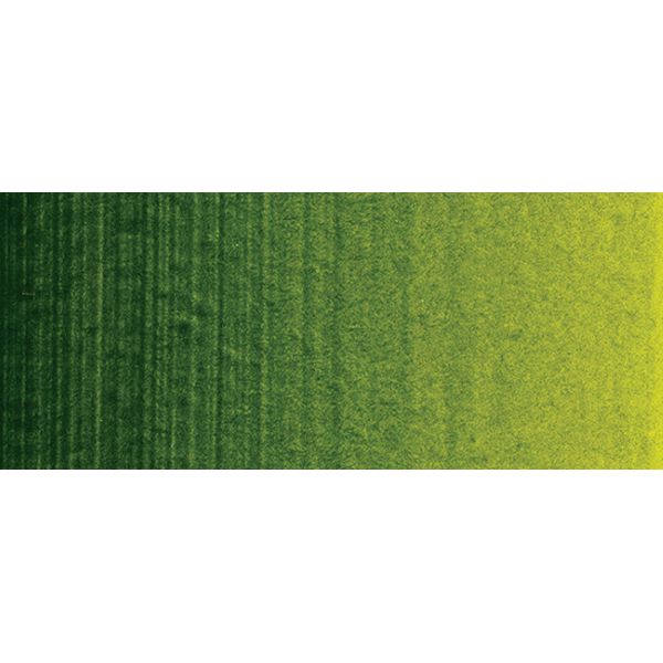 60ml Permanent Sap Green - Professional Acrylic