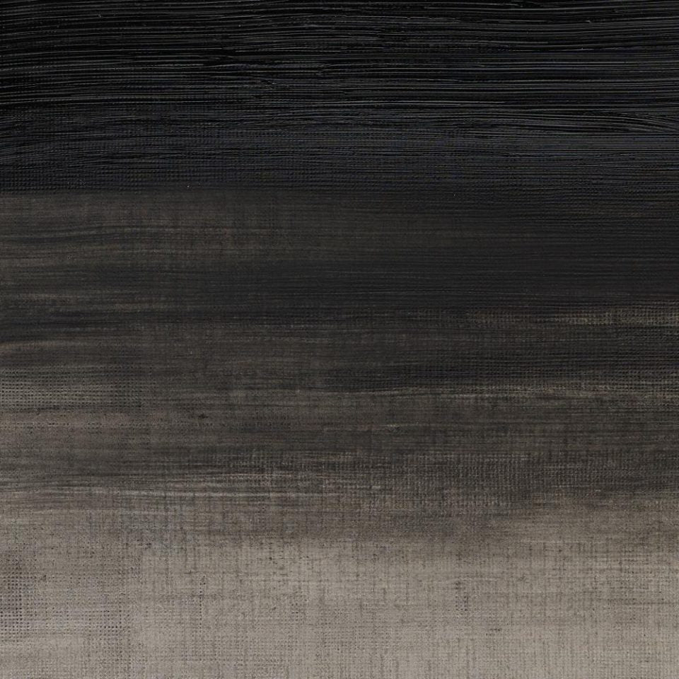 Artisan 200ml Ivory Black