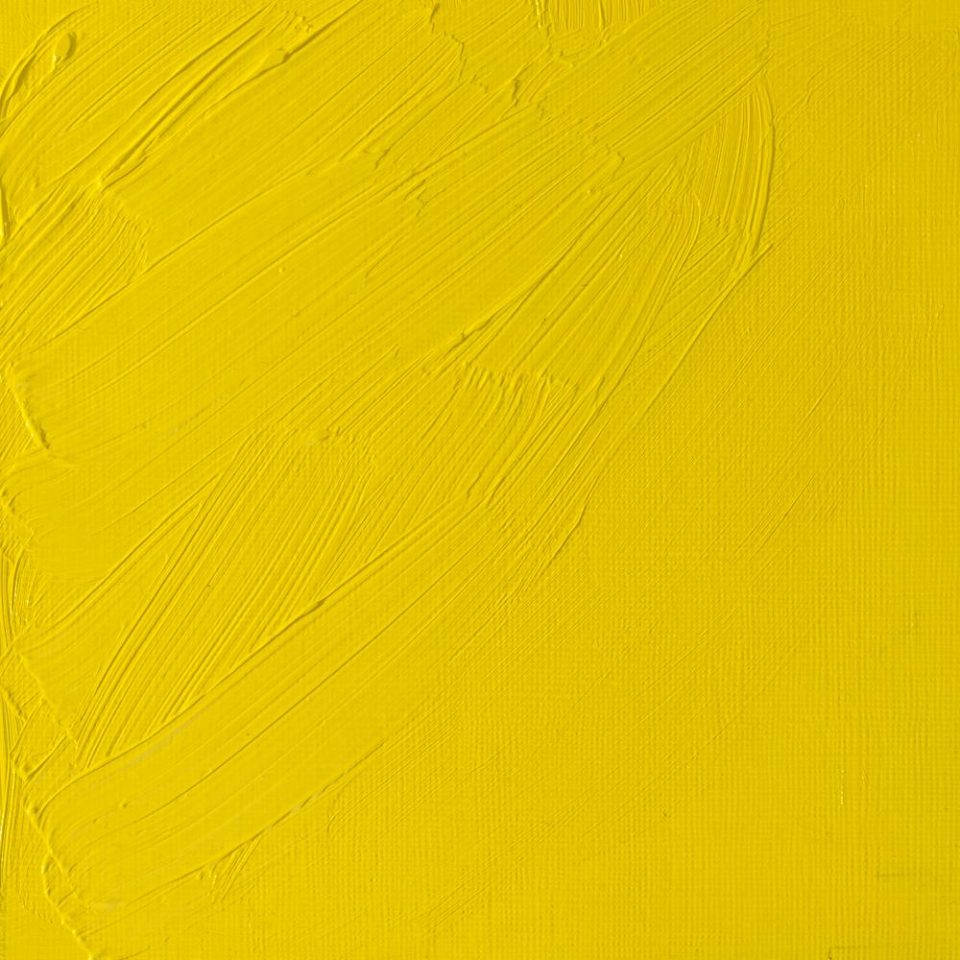 37ml Cadmium Lemon - Artists' Oil
