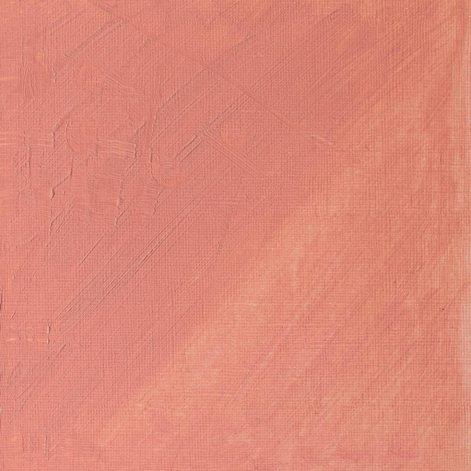 37ml Pale Rose Blush Tint - Artists' Oil