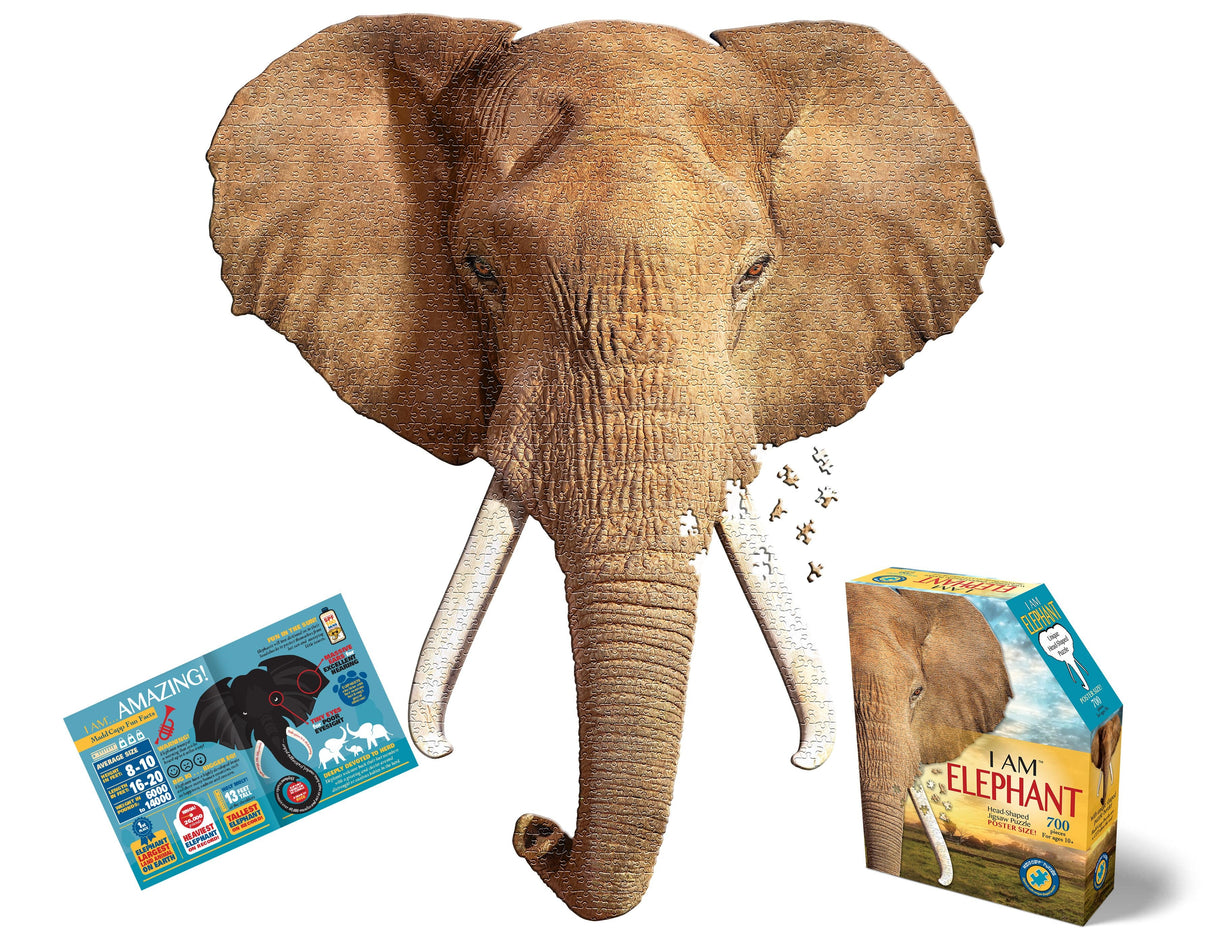 I AM LIL ELEPHANT 700pc