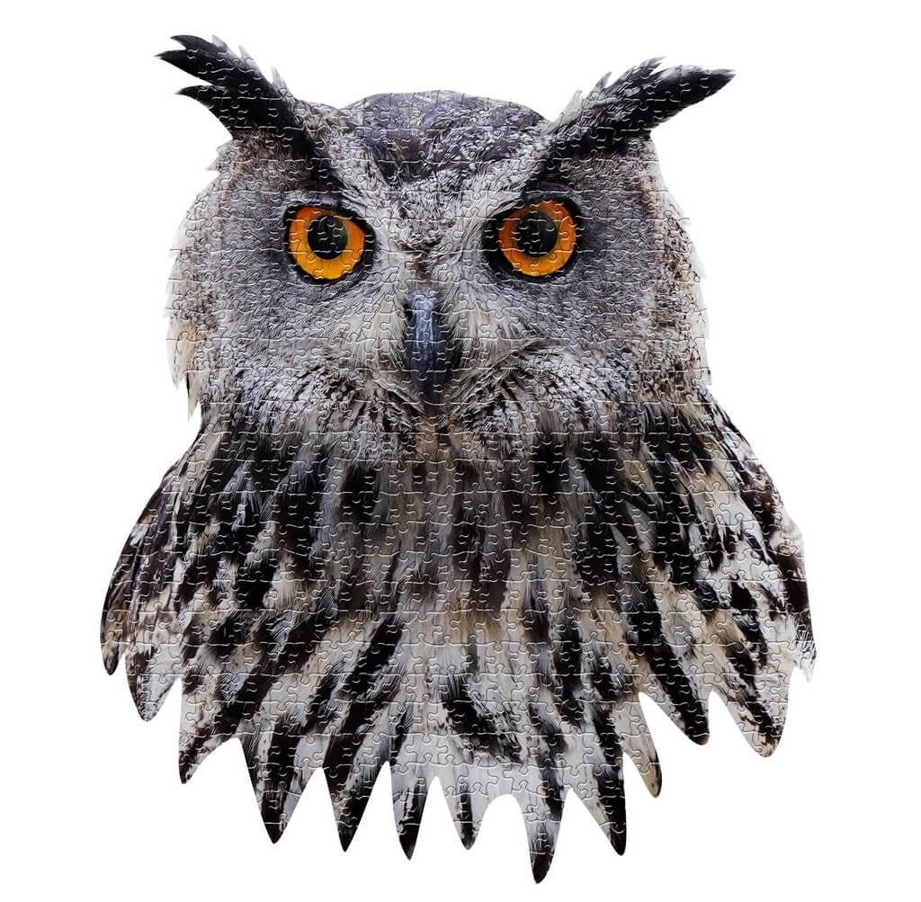 I AM LIL OWL 550pc