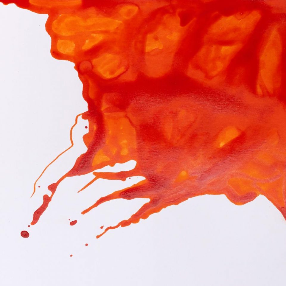 Winsor Newton - Drawing Ink - 14ml Orange