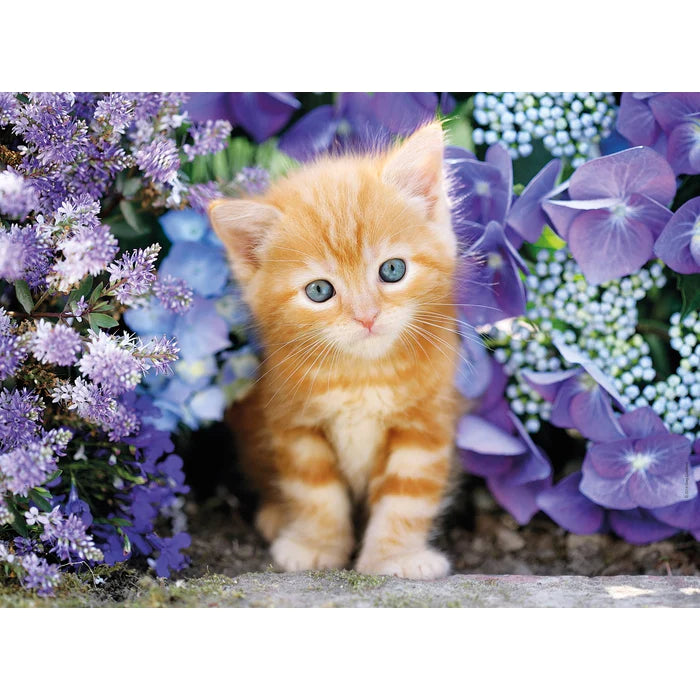 500 Piece Jigsaw Puzzle - Ginger Cat In Flowers