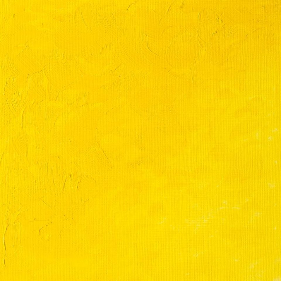 Winsor & Newton- Griffin Oil - 37ml Cadmium Yellow Light Hue