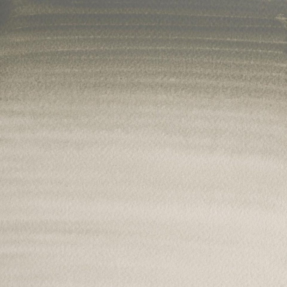 Davy's Grey 5ml - S1 Professional Watercolour