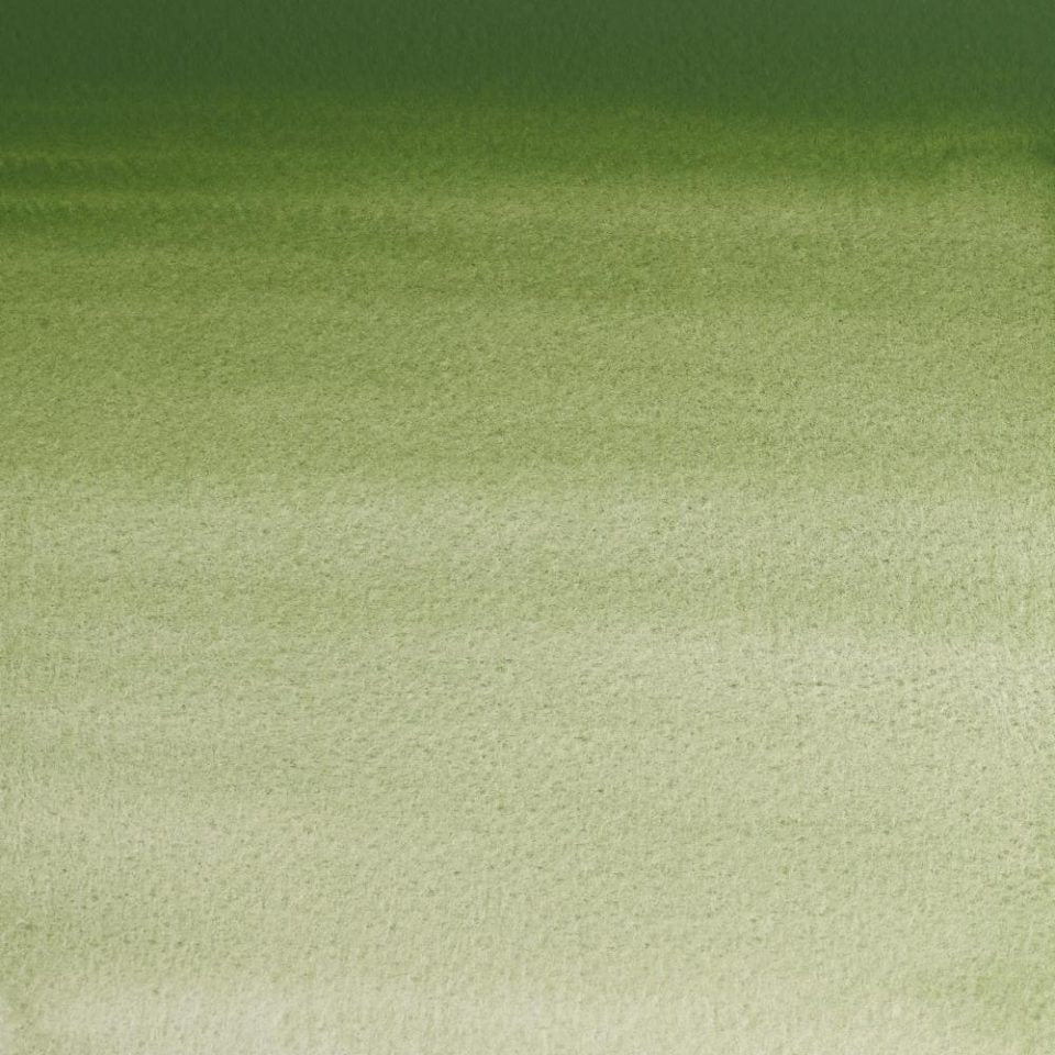 Oxide Of Chromium Whole Pan - S3 Professional Watercolour