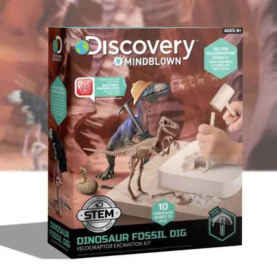 Dinosaur Excavation Kit Skeleton 3D Puzzle -Veloci