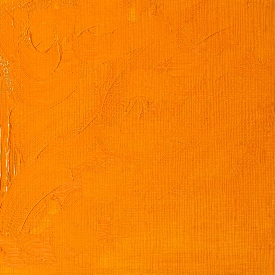 Winton Oil Colour Cadmium Yellow Deep Hue 200ml