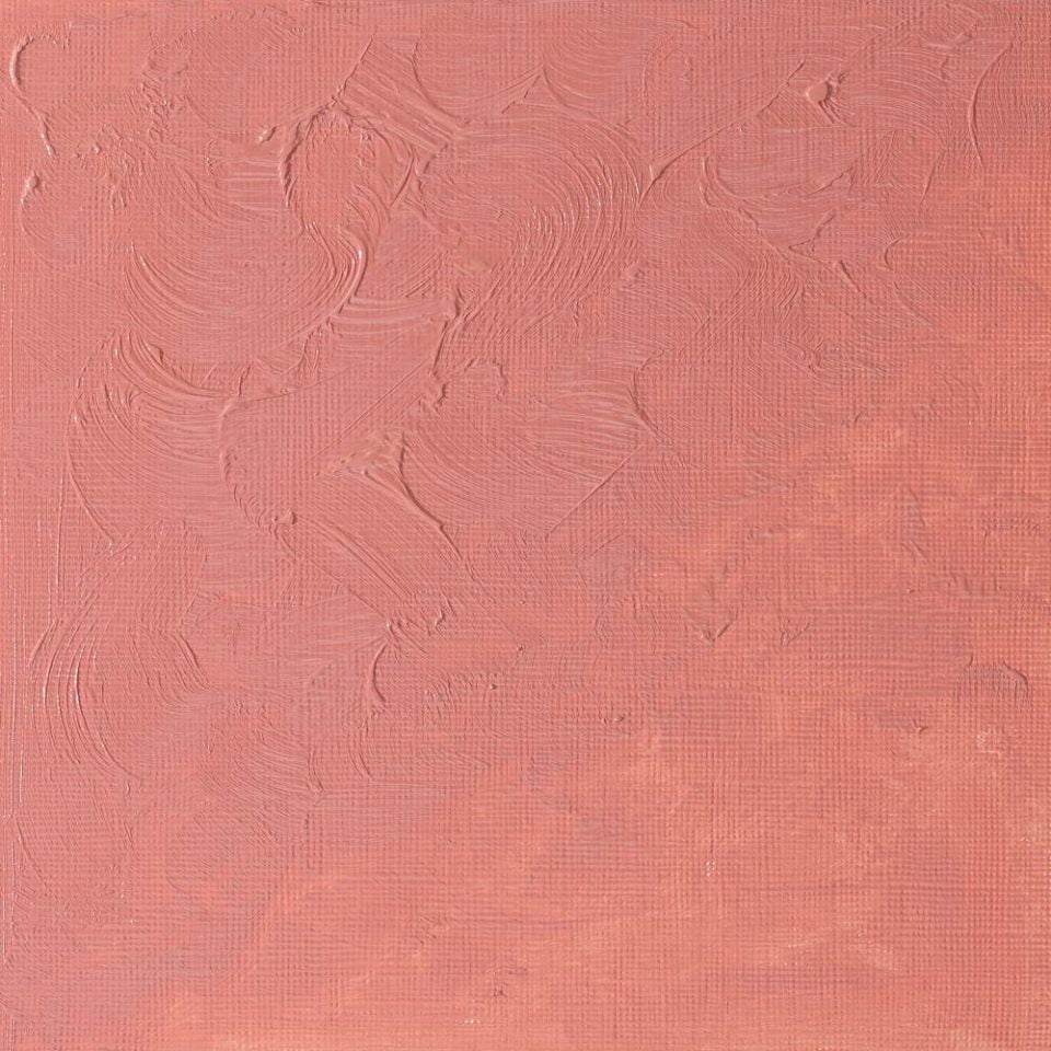 Winton Oil Colour Flesh Tint 37ml