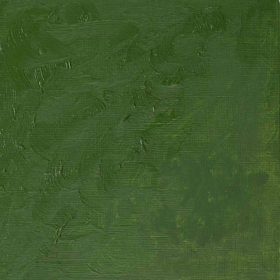 Winton Oil Colour Oxide Of Chromium 200ml