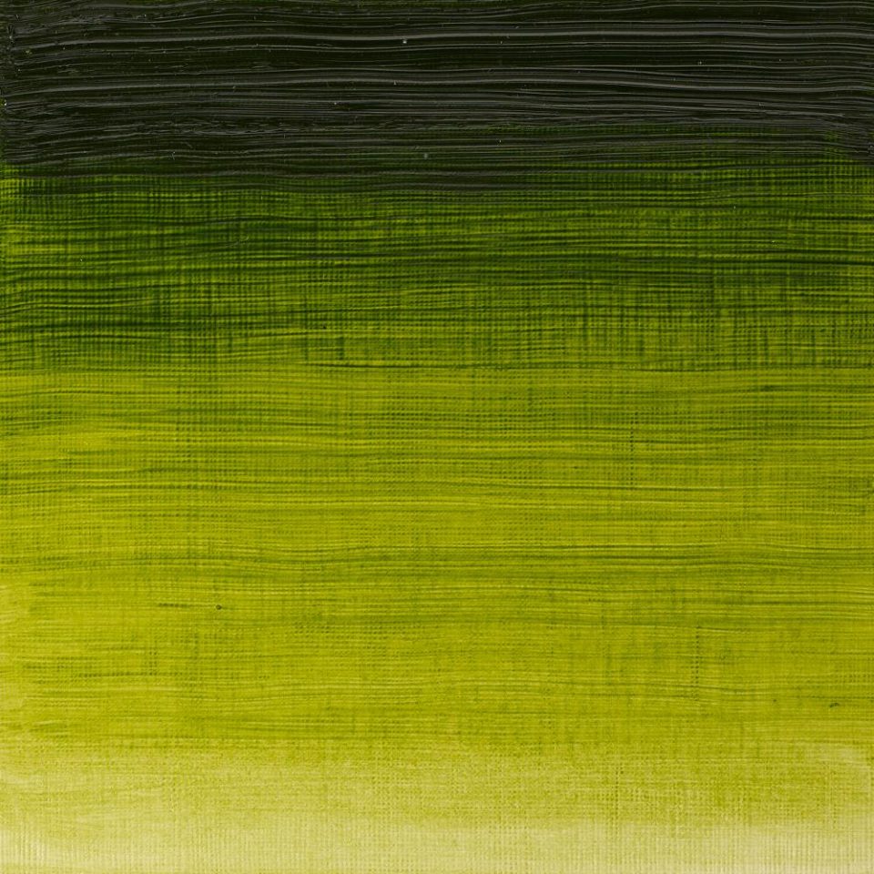 Winton Oil Colour Sap Green 200ml