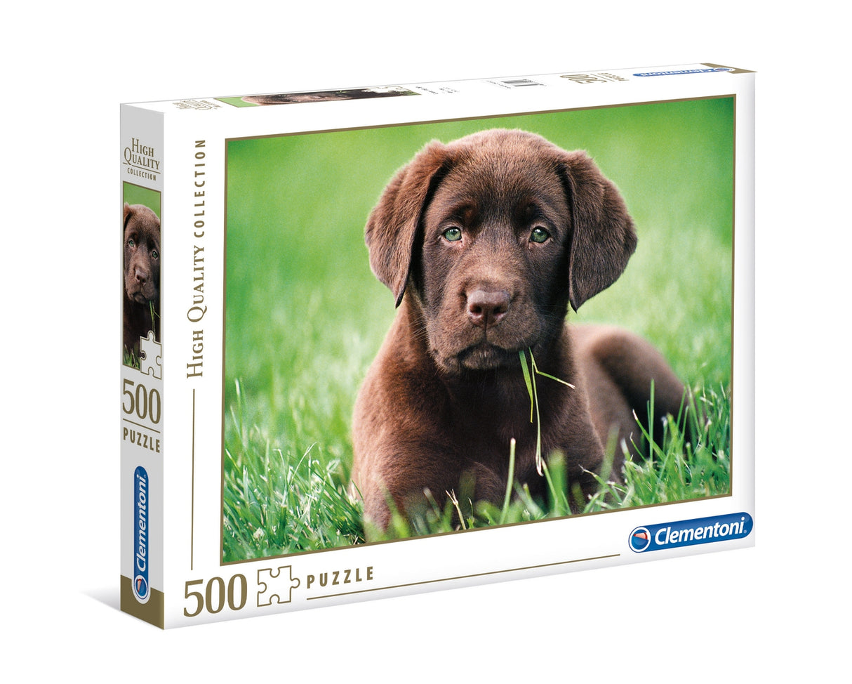 Chocolate Puppy 500 Piece Jigsaw Puzzle