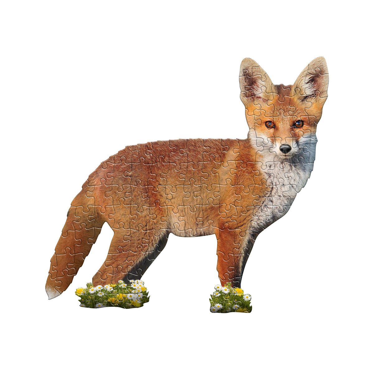 I AM LIL FOX 100pc