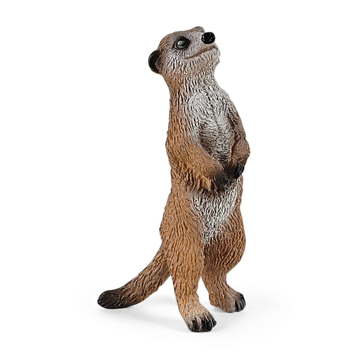 Schleich Meerkat Hangout Set