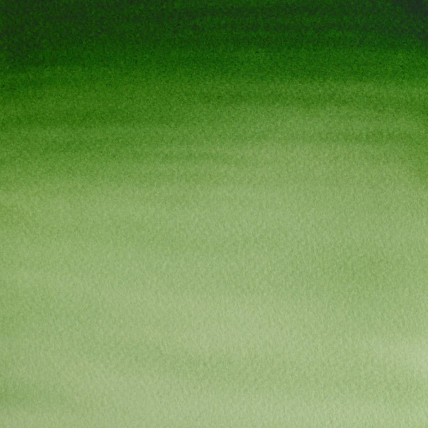 Cotman Watercolour Hooker's Green Light 21ml