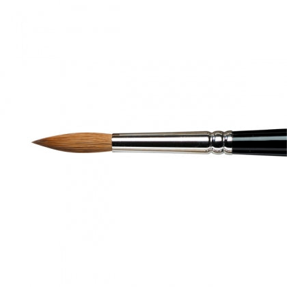 SERIES 7 SABLE W/COL BRUSH NO.5