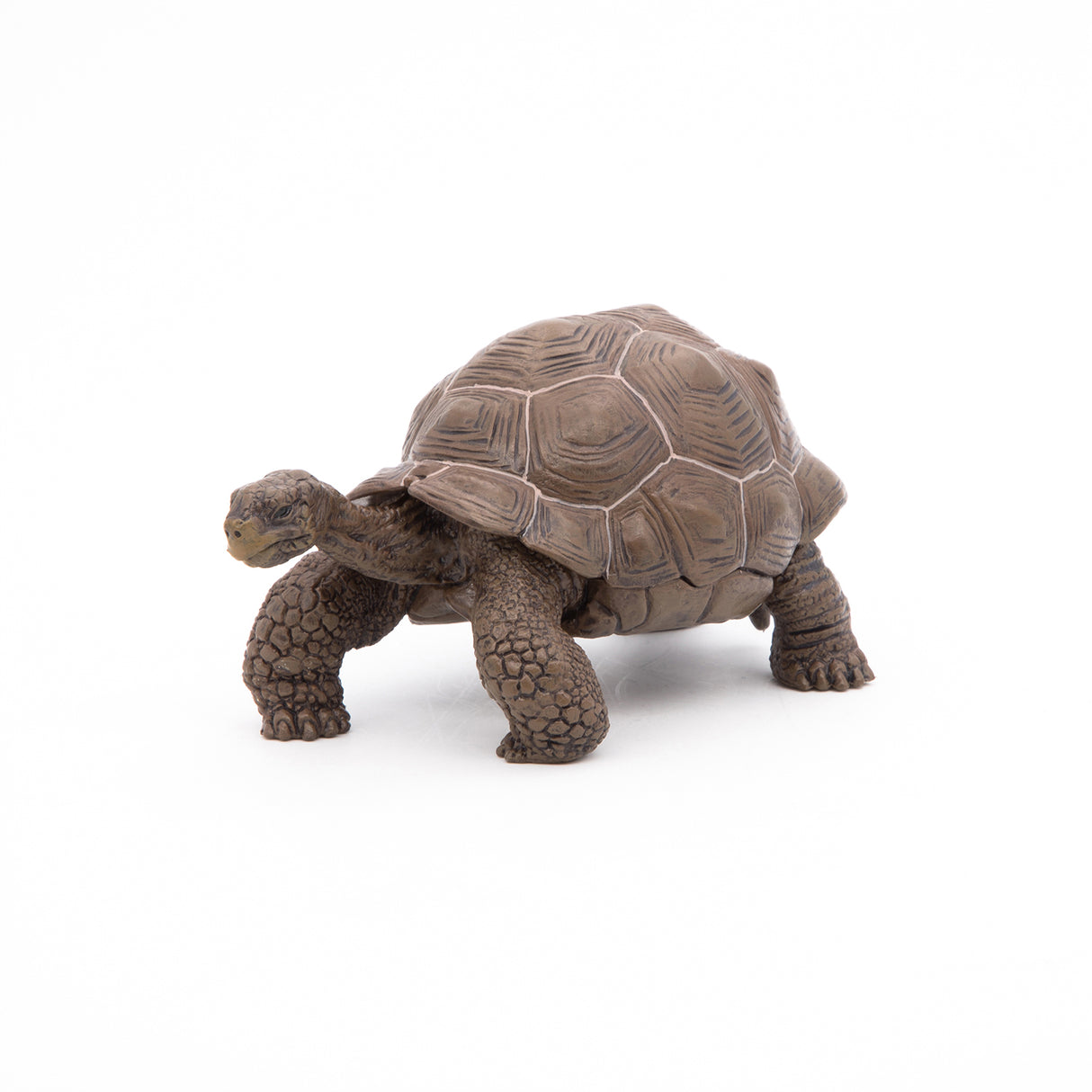 Papo Galápagos Tortoise