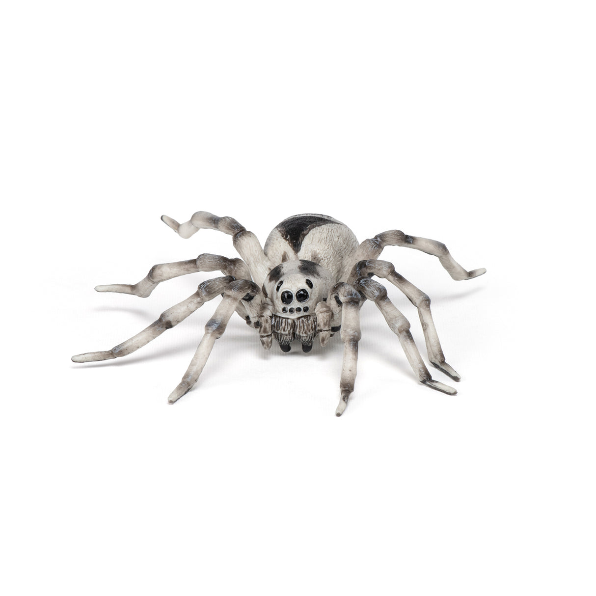 Papo Tarantula