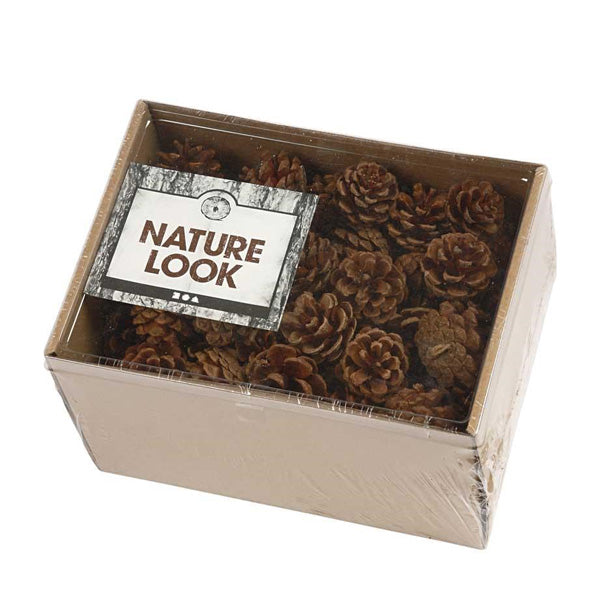 CREATIV PINE CONE -SINGLE