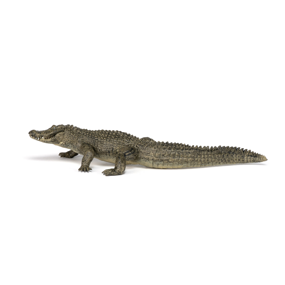 Papo Alligator