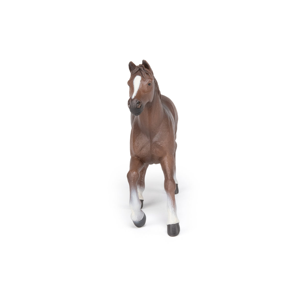 Papo Anglo-Arab Mare