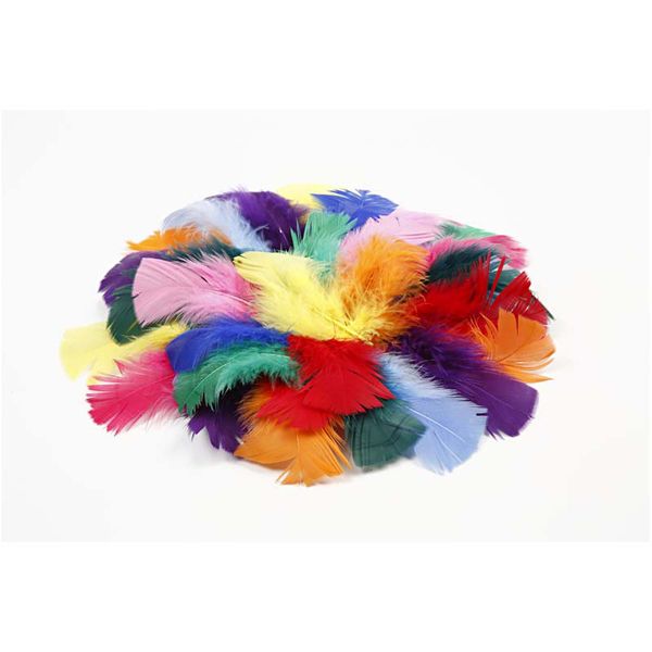Feathers Assorted colours 50g