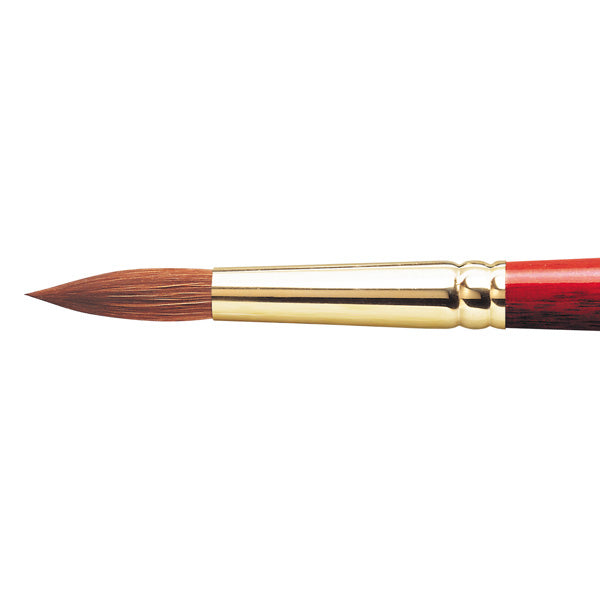 Sceptre 101 N0 14
